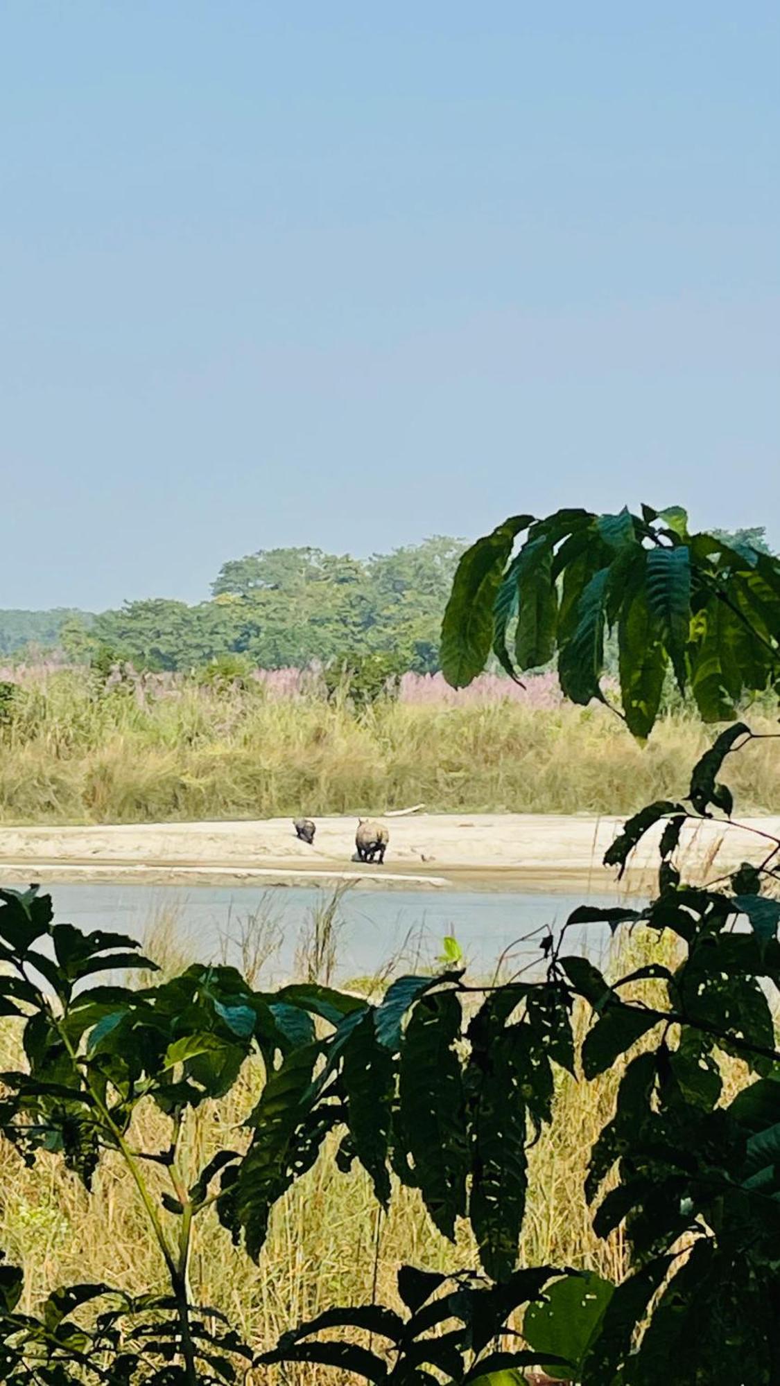 Hotel Tree Tops- A Serene Friendly Hotel In Sauraha Chitwan Exterior foto