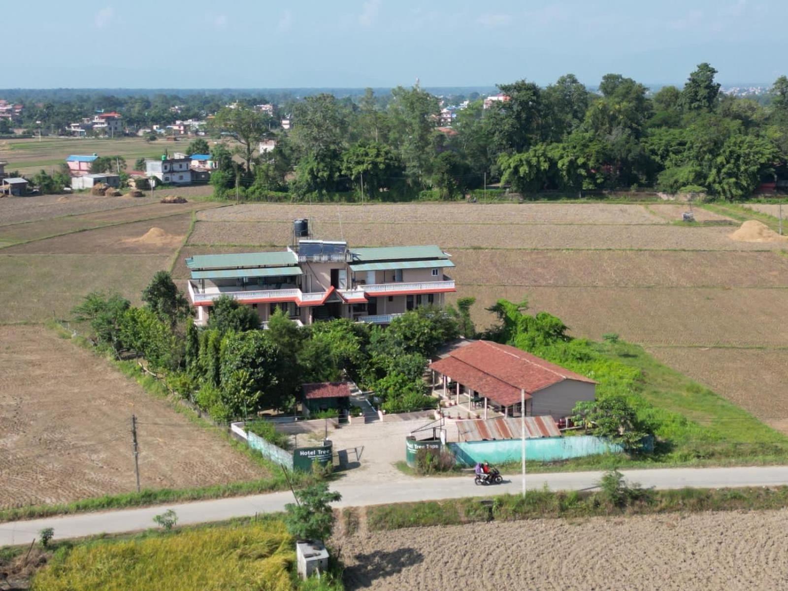 Hotel Tree Tops- A Serene Friendly Hotel In Sauraha Chitwan Exterior foto